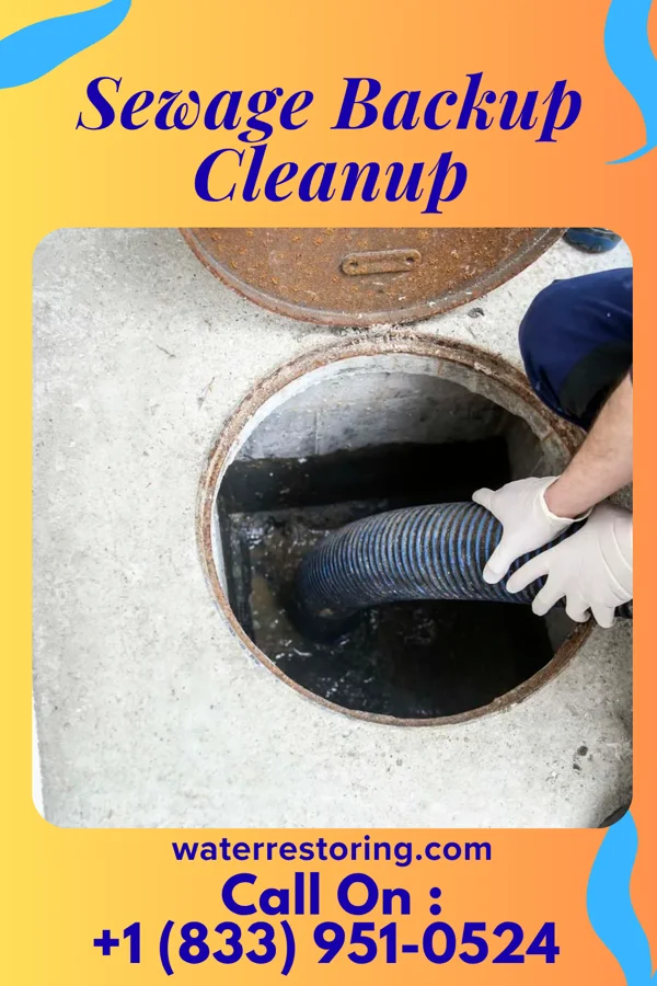 Sewage Backup Cleanup in Gainesboro, TN